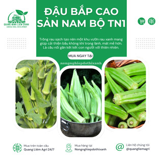Đậu Bắp Cao Sản Nam bộ TN1 Trang Nông (50gram), hạt giống nảy mầm tốt, năng suất cao trông quanh năm
