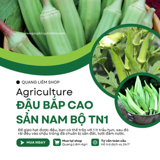 Đậu Bắp Cao Sản Nam bộ TN1 Trang Nông (50gram), hạt giống nảy mầm tốt, năng suất cao trông quanh năm