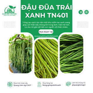 Đậu Đũa Trái Xanh TN401 Trang Nông (50gram), hạt giống nảy mầm tốt, năng suất cao, trông quanh năm