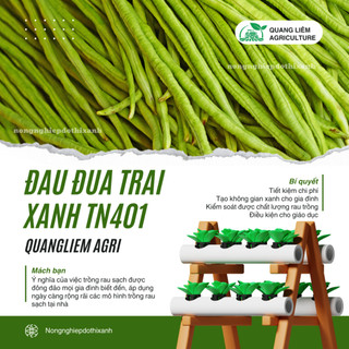 Đậu Đũa Trái Xanh TN401 Trang Nông (50gram), hạt giống nảy mầm tốt, năng suất cao, trông quanh năm