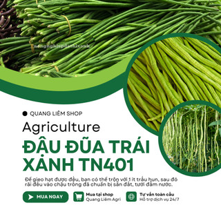 Đậu Đũa Trái Xanh TN401 Trang Nông (50gram), hạt giống nảy mầm tốt, năng suất cao, trông quanh năm