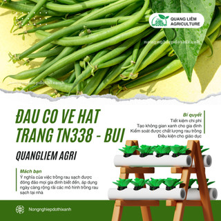 Đậu Cô Ve Hạt Trắng TN338 Trang Nông- Bụi (10gr), hạt giống nảy mầm tốt, năng suất cao quanh năm