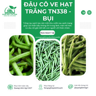 Đậu Cô Ve Hạt Trắng TN338 Trang Nông- Bụi (10gr), hạt giống nảy mầm tốt, năng suất cao quanh năm