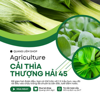 Cải Thìa Thượng Hải 45 Túi 20gram - 100gram Đại Địa, Hạt Giống Nảy Mầm Tốt, Năng Suất Cao