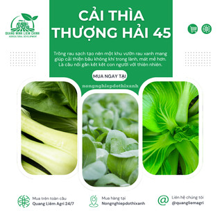 Cải Thìa Thượng Hải 45 Túi 20gram - 100gram Đại Địa, Hạt Giống Nảy Mầm Tốt, Năng Suất Cao