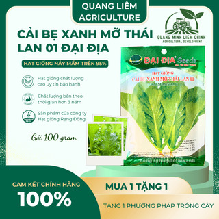 Cải bẹ xanh mỡ thái lan 01 GÓI 20GRAM/100GRAM - Đại Địa, Hạt Giống Nảy Mầm Tốt, Năng Suất Cao