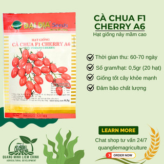 Cà Chua F1 Cherry A6 Gói 0.5gram - Đại Địa, Hạt Giống Nảy Mầm Tốt, Năng Suất Cao, Trông Quanh Năm