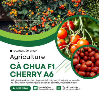 Cà Chua F1 Cherry A6 Gói 0.5gram - Đại Địa, Hạt Giống Nảy Mầm Tốt, Năng Suất Cao, Trông Quanh Năm