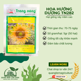 Hoa Hướng Dương TN282 Trang Nông (5gram), hạt giống nảy mầm tốt, năng suất cao, trông quanh năm