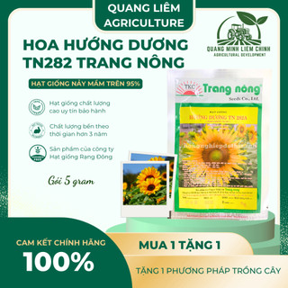 Hoa Hướng Dương TN282 Trang Nông (5gram), hạt giống nảy mầm tốt, năng suất cao, trông quanh năm