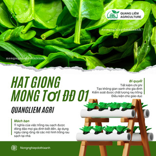 Hạt Giống Mồng Tơi ĐĐ 01 (Gói 50gram/100gram) - Đại Địa, Hạt Giống Nảy Mầm Tốt, Năng Suất Cao