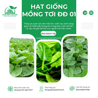 Hạt Giống Mồng Tơi ĐĐ 01 (Gói 50gram/100gram) - Đại Địa, Hạt Giống Nảy Mầm Tốt, Năng Suất Cao