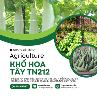 Khổ Hoa Tây TN212 Trang Nông (20gram), hạt giống nảy mầm tốt, năng suất cao, trông quanh năm
