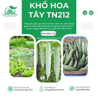 Khổ Hoa Tây TN212 Trang Nông (20gram), hạt giống nảy mầm tốt, năng suất cao, trông quanh năm