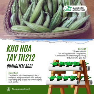 Khổ Hoa Tây TN212 Trang Nông (20gram), hạt giống nảy mầm tốt, năng suất cao, trông quanh năm
