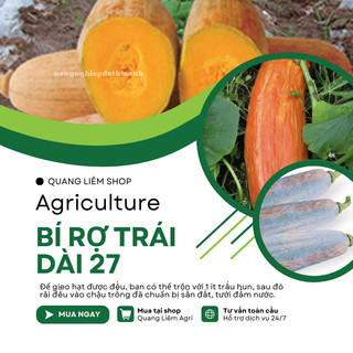 Hạt Giống Bí Rợ Trái Dài 27 (Bí Ăn Ngọn) Đại Địa - 50gram, Hạt Giống Nảy Mầm Tốt, Năng Suất Cao