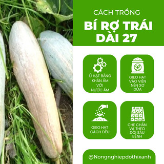 Hạt Giống Bí Rợ Trái Dài 27 (Bí Ăn Ngọn) Đại Địa - 50gram, Hạt Giống Nảy Mầm Tốt, Năng Suất Cao