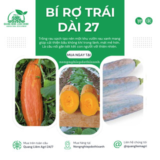 Hạt Giống Bí Rợ Trái Dài 27 (Bí Ăn Ngọn) Đại Địa - 50gram, Hạt Giống Nảy Mầm Tốt, Năng Suất Cao