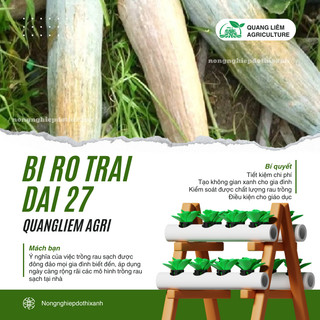 Hạt Giống Bí Rợ Trái Dài 27 (Bí Ăn Ngọn) Đại Địa - 50gram, Hạt Giống Nảy Mầm Tốt, Năng Suất Cao