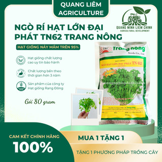 Ngò Rí Lớn Đại Phát TN62 Trang Nông (80gram),  hạt giống nảy mầm tốt, năng suất cao, trông quanh năm
