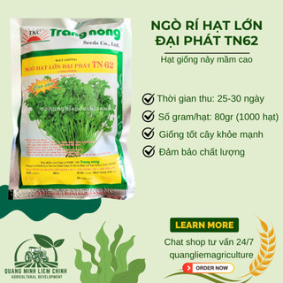 Ngò Rí Lớn Đại Phát TN62 Trang Nông (80gram),  hạt giống nảy mầm tốt, năng suất cao, trông quanh năm