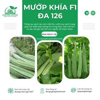 Mướp Khía F1 Đa 126 Đại An - 1gram, Hạt Giống Nảy Mầm Tốt, Năng Suất Cao, Trông Quanh Năm