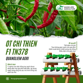 Ớt Chỉ Thiên F1 TN378 Trang Nông (0.4gram), hạt giống nảy mầm tốt, năng suất cao, trông quanh năm