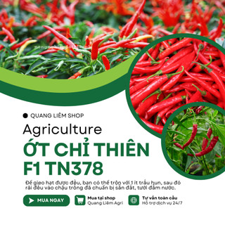 Ớt Chỉ Thiên F1 TN378 Trang Nông (0.4gram), hạt giống nảy mầm tốt, năng suất cao, trông quanh năm