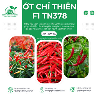 Ớt Chỉ Thiên F1 TN378 Trang Nông (0.4gram), hạt giống nảy mầm tốt, năng suất cao, trông quanh năm