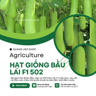 Hạt Giống Bầu Lai Trái Dài F1 502 Gói 2.2 Gram(20 Hạt) Đại Địa, Hạt Giống Nảy Mầm Tốt, Năng Suất Cao