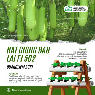 Hạt Giống Bầu Lai Trái Dài F1 502 Gói 2.2 Gram(20 Hạt) Đại Địa, Hạt Giống Nảy Mầm Tốt, Năng Suất Cao