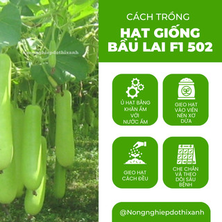 Hạt Giống Bầu Lai Trái Dài F1 502 Gói 2.2 Gram(20 Hạt) Đại Địa, Hạt Giống Nảy Mầm Tốt, Năng Suất Cao