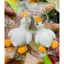 combo 3 cai kẹo dẻo con thú hình vịt 15gr/con