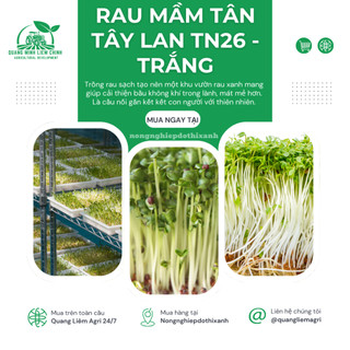 Rau Mầm Tân Tây Lan TN26 - TRẮNG Trang Nông (100gr), nảy mầm tốt, năng suất cao, trông quanh năm