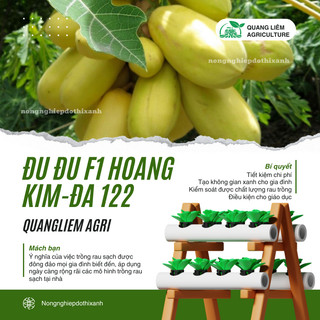 Đu Đủ F1 Hoàng Kim ĐA 122 (5 Hạt) Đại An, Hạt Giống Nảy Mầm Tốt, Năng Suất Cao, Trông Quanh Năm