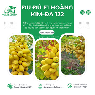 Đu Đủ F1 Hoàng Kim ĐA 122 (5 Hạt) Đại An, Hạt Giống Nảy Mầm Tốt, Năng Suất Cao, Trông Quanh Năm