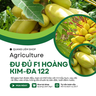 Đu Đủ F1 Hoàng Kim ĐA 122 (5 Hạt) Đại An, Hạt Giống Nảy Mầm Tốt, Năng Suất Cao, Trông Quanh Năm