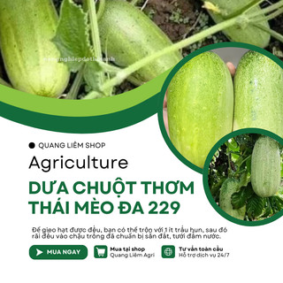 Dưa Chuột Thơm Thái Mèo Đa 229 Đại An - Túi 0.5gram, Hạt Giống Nảy Mầm Tốt, Năng Suất Cao