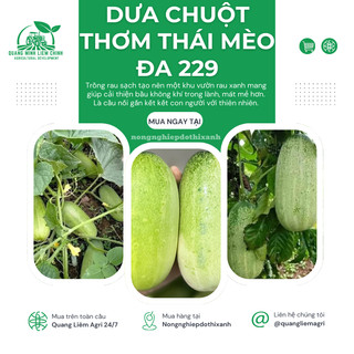 Dưa Chuột Thơm Thái Mèo Đa 229 Đại An - Túi 0.5gram, Hạt Giống Nảy Mầm Tốt, Năng Suất Cao