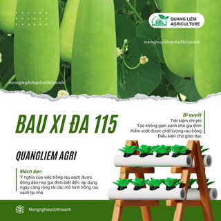 Hạt Giống Bầu Xị Đa 115 Đại An - 1.5 Gram, Hạt Giống Nảy Mầm Tốt, Năng Suất Cao, Trông Quanh Năm
