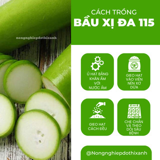 Hạt Giống Bầu Xị Đa 115 Đại An - 1.5 Gram, Hạt Giống Nảy Mầm Tốt, Năng Suất Cao, Trông Quanh Năm