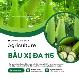 Hạt Giống Bầu Xị Đa 115 Đại An - 1.5 Gram, Hạt Giống Nảy Mầm Tốt, Năng Suất Cao, Trông Quanh Năm