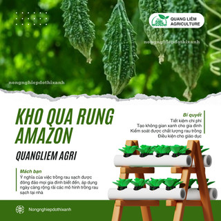 Khổ Qua Rừng Amazon Đại An - 1.5 Gram 10 Hạt, Hạt Giống Nảy Mầm Tốt, Năng Suất Cao, Trông Quanh Năm