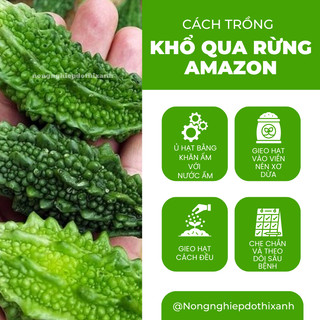 Khổ Qua Rừng Amazon Đại An - 1.5 Gram 10 Hạt, Hạt Giống Nảy Mầm Tốt, Năng Suất Cao, Trông Quanh Năm