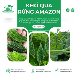 Khổ Qua Rừng Amazon Đại An - 1.5 Gram 10 Hạt, Hạt Giống Nảy Mầm Tốt, Năng Suất Cao, Trông Quanh Năm