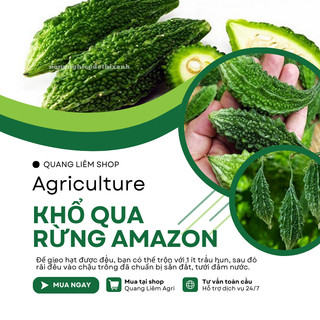 Khổ Qua Rừng Amazon Đại An - 1.5 Gram 10 Hạt, Hạt Giống Nảy Mầm Tốt, Năng Suất Cao, Trông Quanh Năm