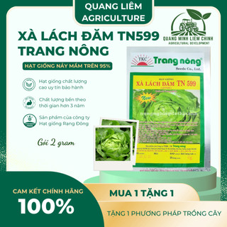 Xà Lách Đăm TN599 Trang Nông (2gram), hạt giống nảy mầm tốt, năng suất cao, trông quanh năm