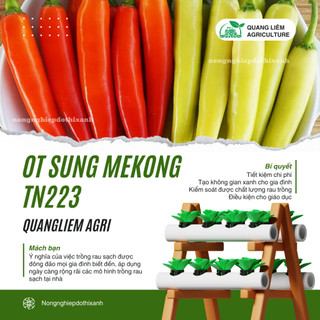 Ớt Sừng Mekong TN223 Trang Nông (1gram), hạt giống nảy mầm tốt, năng suất cao, trông quanh năm