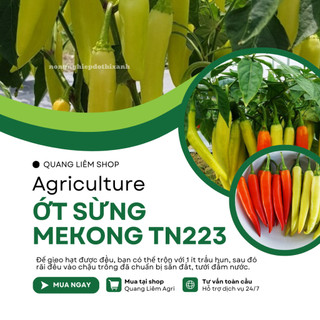 Ớt Sừng Mekong TN223 Trang Nông (1gram), hạt giống nảy mầm tốt, năng suất cao, trông quanh năm