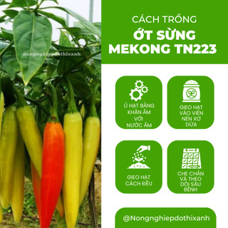 Ớt Sừng Mekong TN223 Trang Nông (1gram), hạt giống nảy mầm tốt, năng suất cao, trông quanh năm